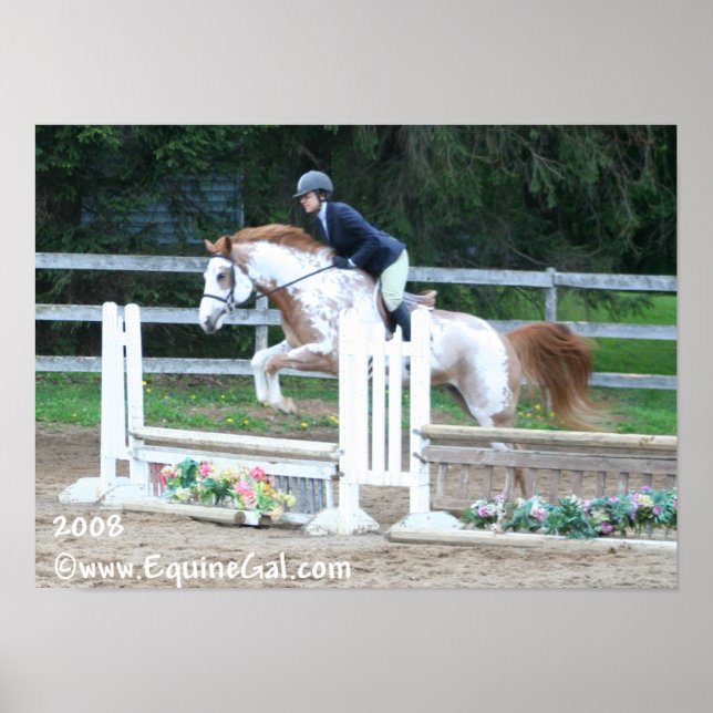 Poster Img-1193 (Frente)