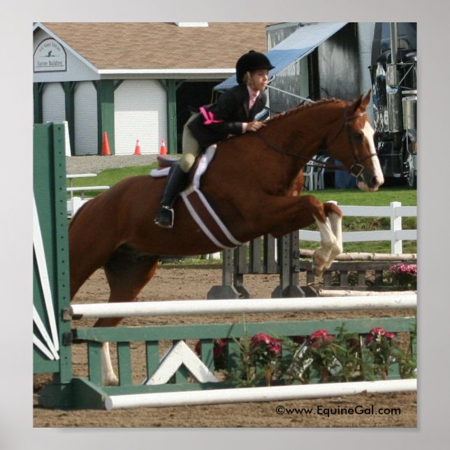 Poster Img_3643 (Frente)