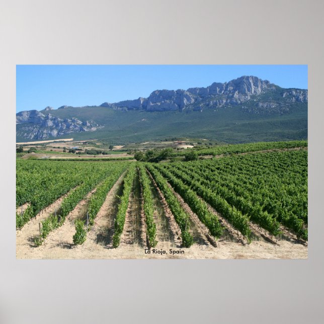Poster IMG_6159, La Rioja, Espanha (Frente)