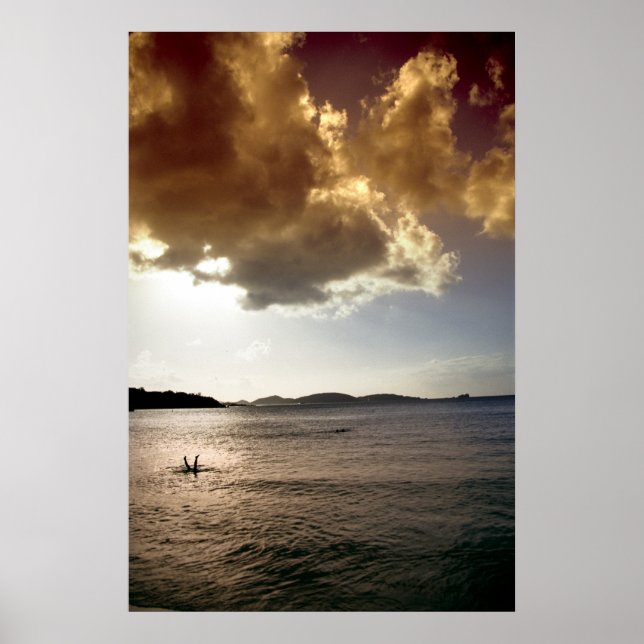 Pôster Immersão de Inversão (Frente)