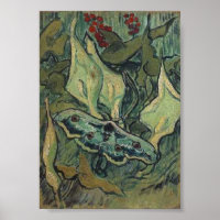 Imperador ou Excelente Peacock Moth Van Gogh Fine