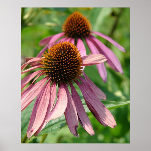 Pôster Imperfeição (Frente)