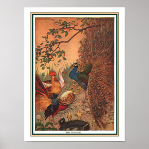 Poster "Impressão CA 1919 da fábula de Esopo do pavão"