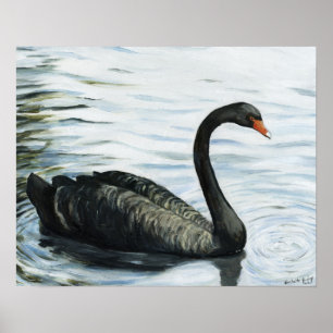 Pôster "Impressão da arte do pássaro da cisne preta"