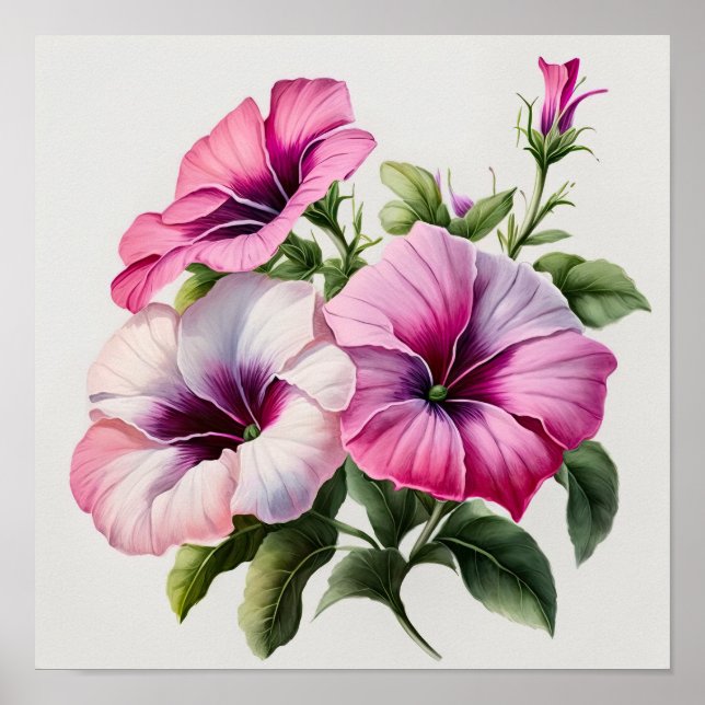 Poster Impressão de de Flor de Petunias Rosa (Frente)
