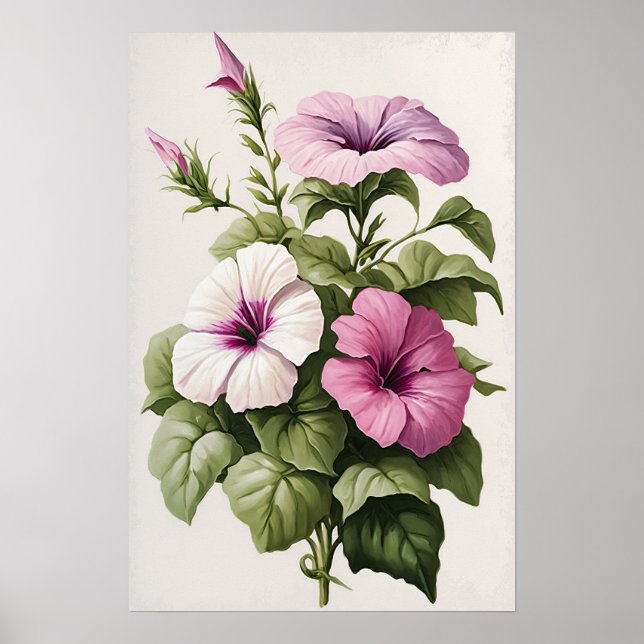 Poster Impressão de de Flor de Petunias Rosa (Frente)