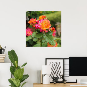 Poster Impressão de Rosas Amarelas Rosa