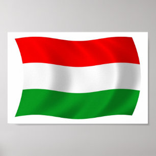 Poster Impressão de Sinalizador da Hungria