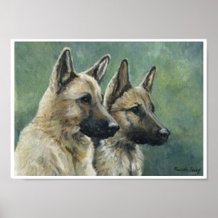 Pôster "Impressão do german shepherd do dever dobro" do