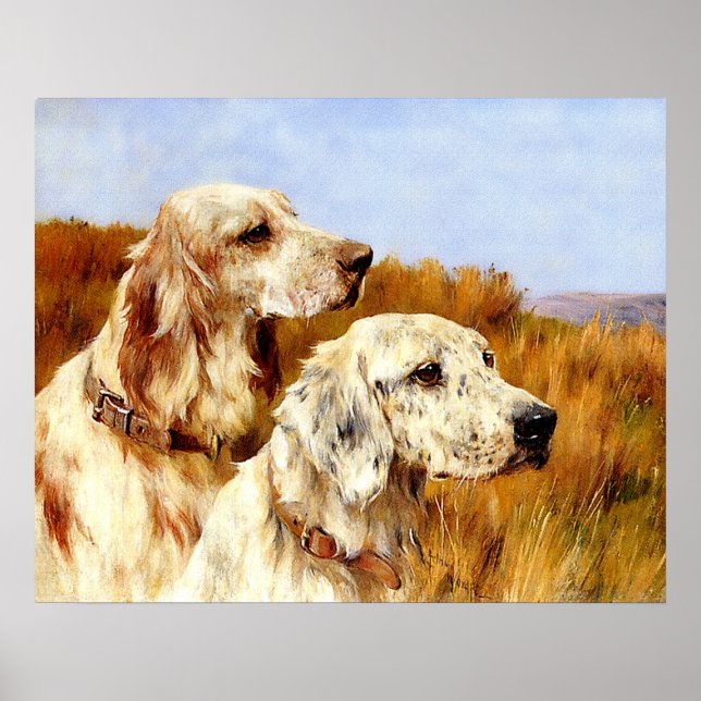 Poster Impressão: Dois setters por Arthur Wardle (Frente)