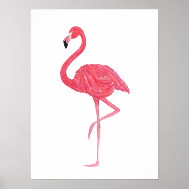 Poster Impressão Flamingo Flamingo, cor-de-rosa (Frente)