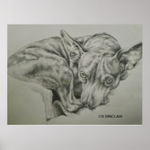 Poster Impressão, Matte )SAM SAM por CR Sinclair