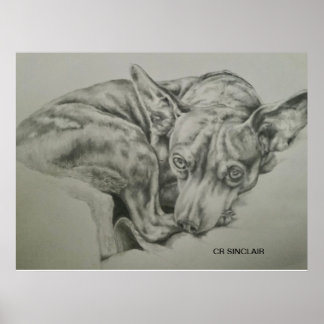 Poster Impressão, Matte )SAM SAM por CR Sinclair