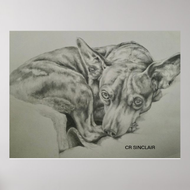 Poster Impressão, Matte )SAM SAM por CR Sinclair (Frente)