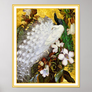 Poster Impressão: Pavão Branco e Azul