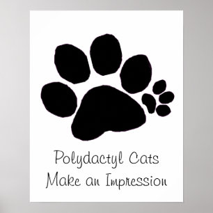 Poster - impressão Polydactyl da pata