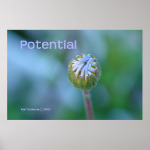 Pôster Impressão/Poster do Blue Daisy Bud - "Potencial"