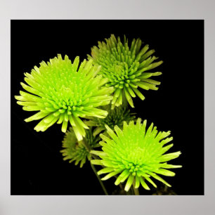 Pôster Impressão/poster verdes das flores