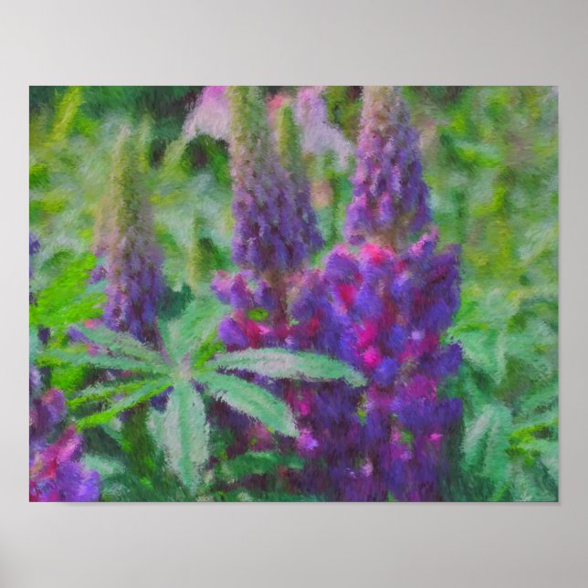 Pôster Impressionista Lupine Trio Pintura Fotográfica em  (Frente)
