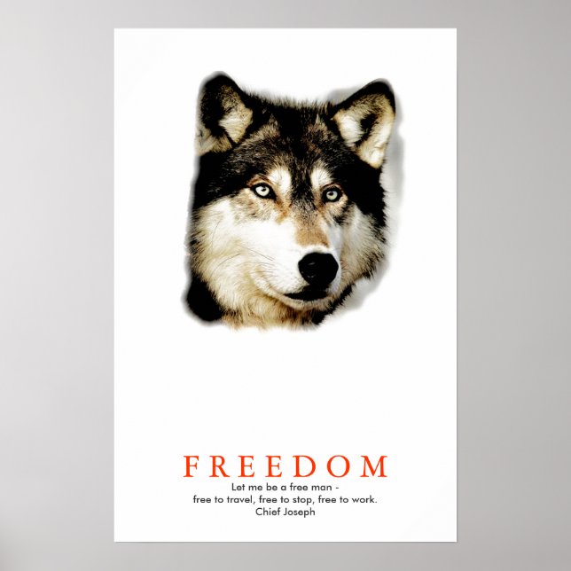 Pôster Impresso Motivacional Lobo da Liberdade Úni (Frente)