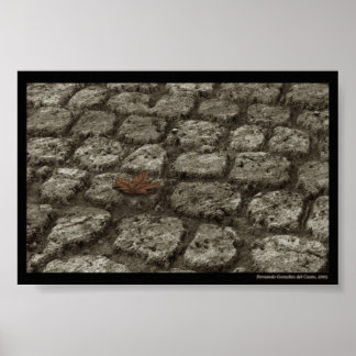 Pôster In-der-welt-sein