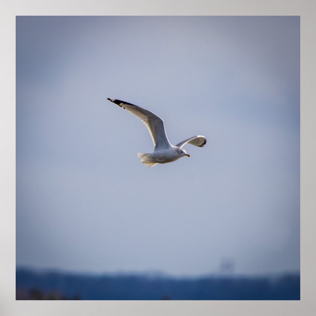 Poster In Flight (Frente)