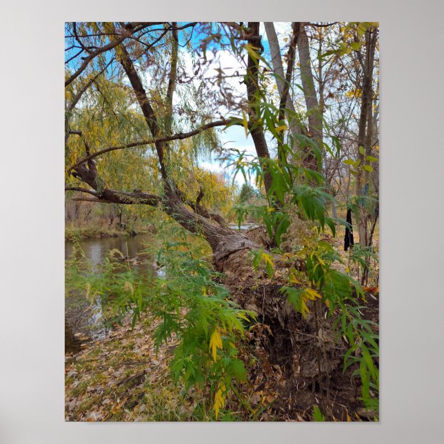 Poster In the Absence of Music (Frente)