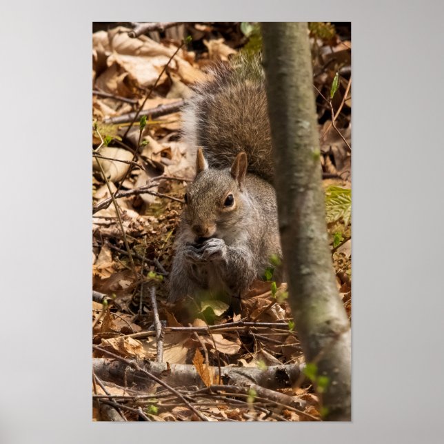 Poster In the Brush (Frente)