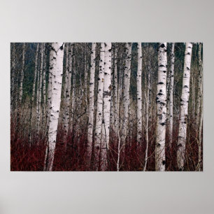 Pôster In The Woods.