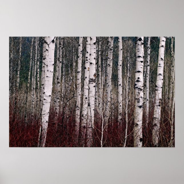 Pôster In The Woods. (Frente)