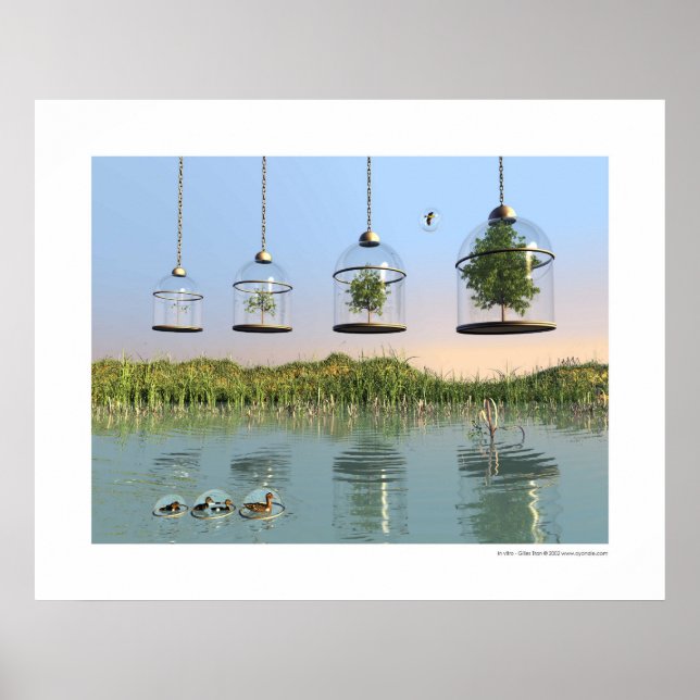 Pôster In vitro (Frente)