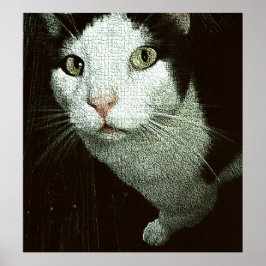 Poster  In Your Face Bob