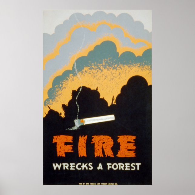 Poster Incêndio destrói uma floresta (Frente)
