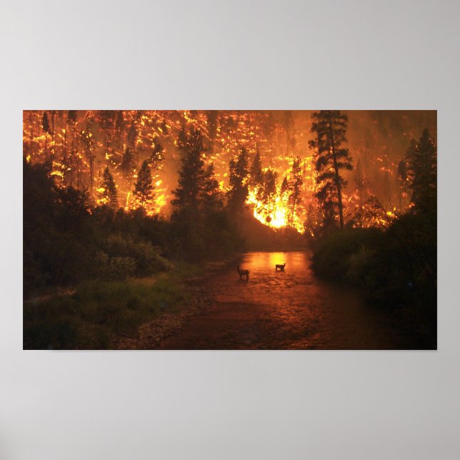 Poster Incêndio na Floresta - Veado (Frente)