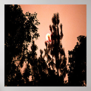 Poster Incêndio no Vale do Índio.......