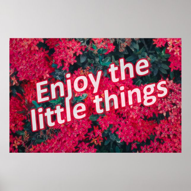 Poster Incômodo nos pequenos prazeres da vida (Frente)