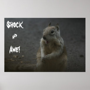 Poster Incrédulo de Shock&!