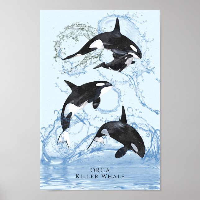 Poster Incrível "Black and White Watercolor Orcas" (Frente)