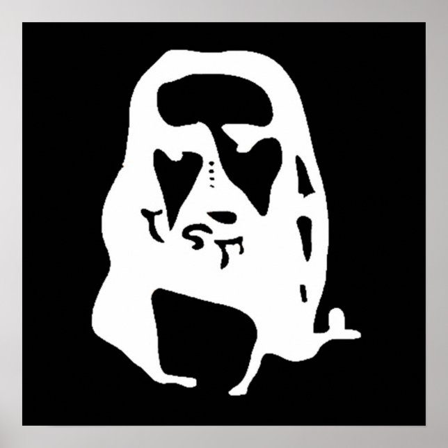 Poster Incrível ilusão Óptica do Cristo de Jesus (Frente)