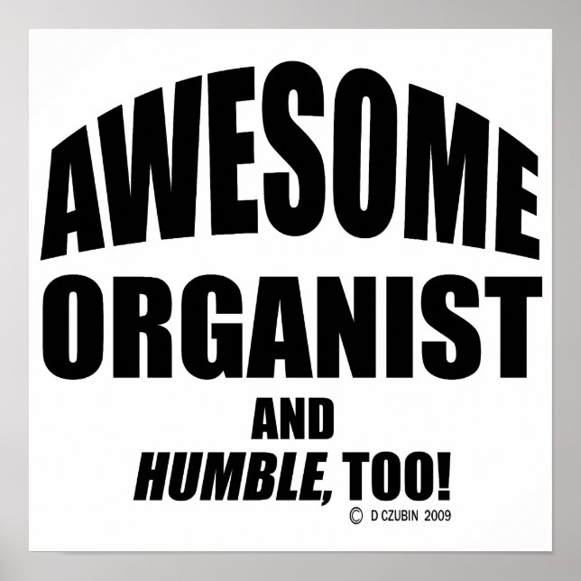 Pôster Incrível Organizador (Frente)