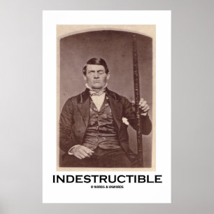 Pôster Indestrutível (Phineas Gage)
