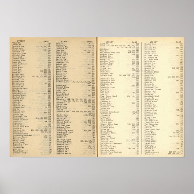 Poster Index New Rochelle (Frente)