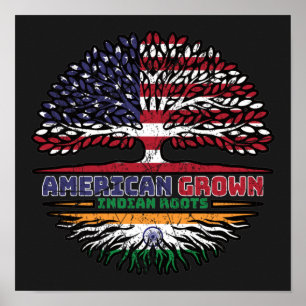 Poster Índia Índia EUA EUA EUA EUA Estados Unidos