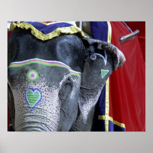 Pôster India, Rajasthan, Jaipur. Forte ambarino