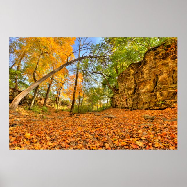 Poster Indian Village Canyon in Fall, Columbus, Ohio (Frente)