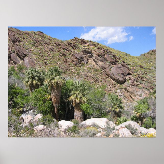 Poster IndianCanyon (8) (Frente)