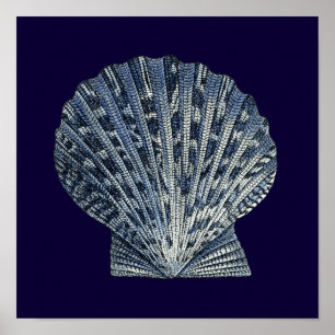 Pôster Indigo Shells VIII