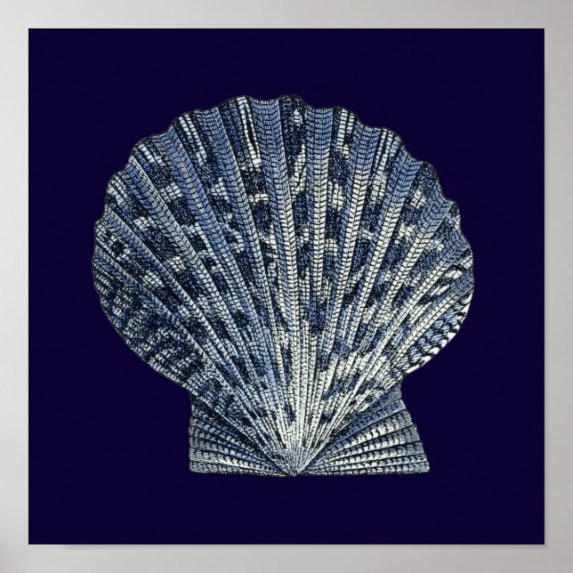 Pôster Indigo Shells VIII (Frente)