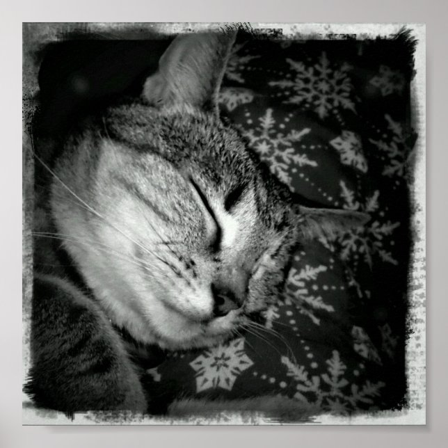 Poster Indigo sorridente B+W (Frente)