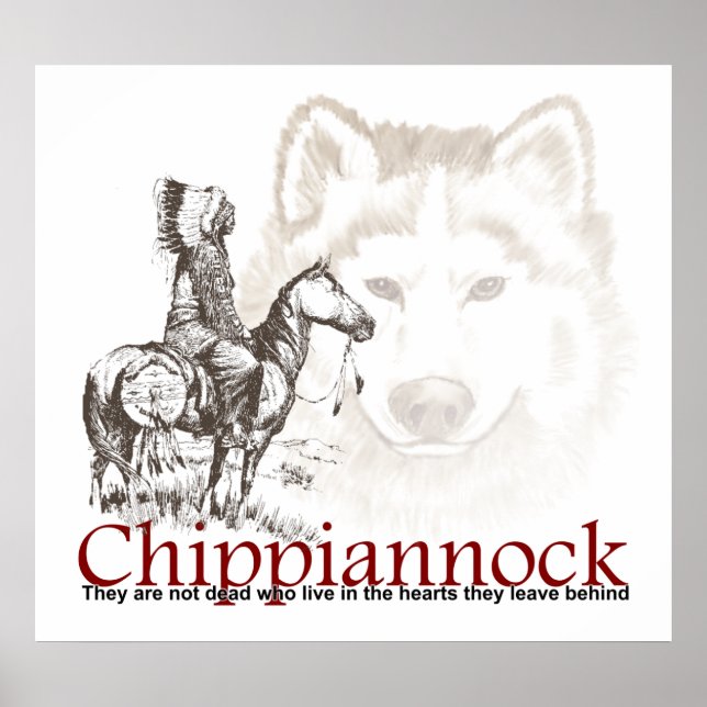 Poster índio americano Eles não são mortos (Frente)